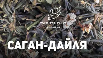 Саган-Дайля (Рододендрон Адамса).  Где растет, как заваривать, свойства
