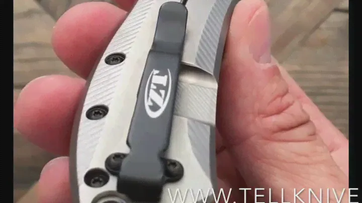 Focus sur le ZT0801TI