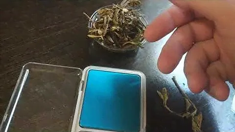 Рецепт настойки на Саган-Дайля / Рододендрон Адамса / саган дайля / шаманский чай