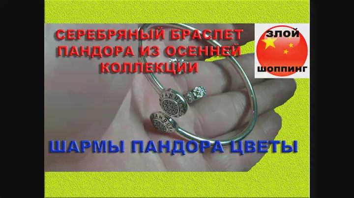 Браслет как Пандора из Осенней Коллекции и Серебряные Шармы Колечки Цветочки Дэйзи